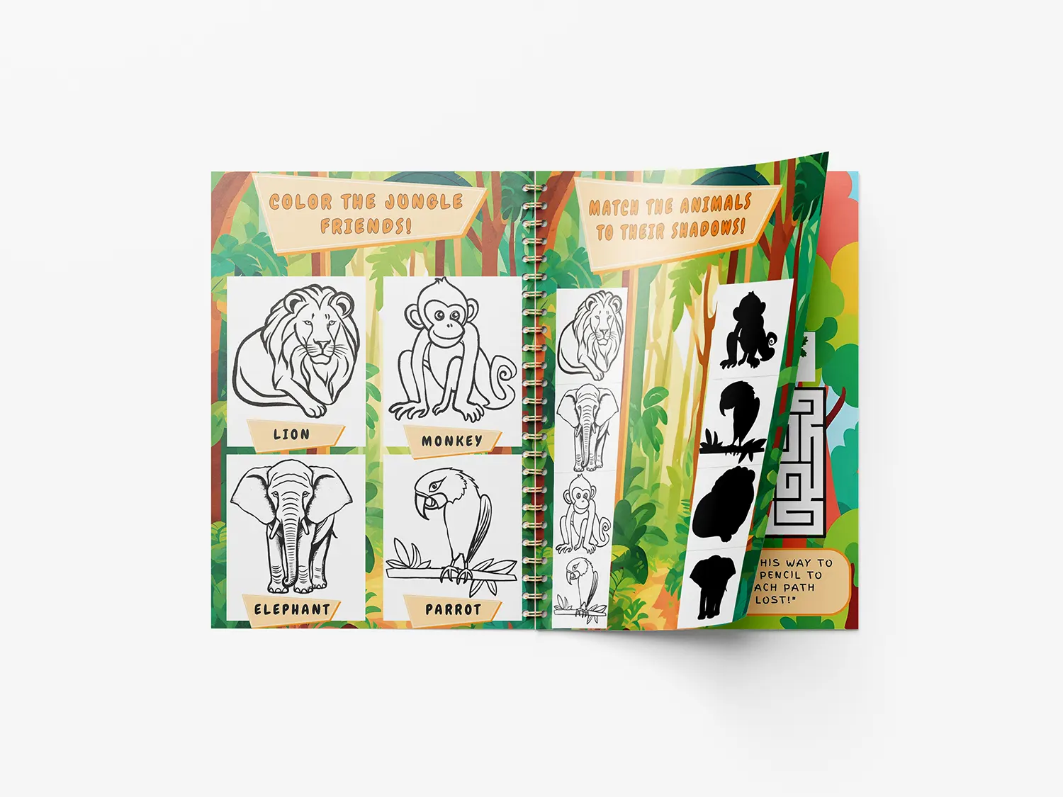 Diseño de las paginas internas del libro Activity book